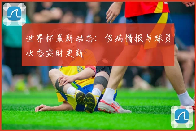 世界杯最新动态：伤病情报与球员状态实时更新
