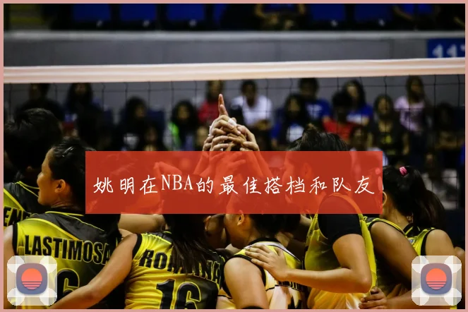 姚明在NBA的最佳搭档和队友