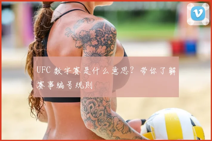 UFC 数字赛是什么意思？带你了解赛事编号规则