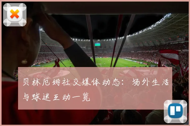 贝林厄姆社交媒体动态：场外生活与球迷互动一览
