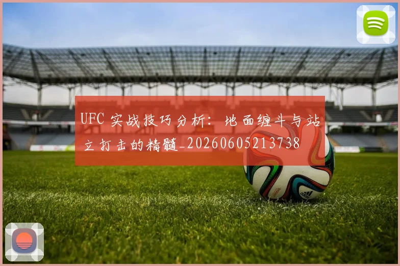 UFC 实战技巧分析：地面缠斗与站立打击的精髓_20260605213738