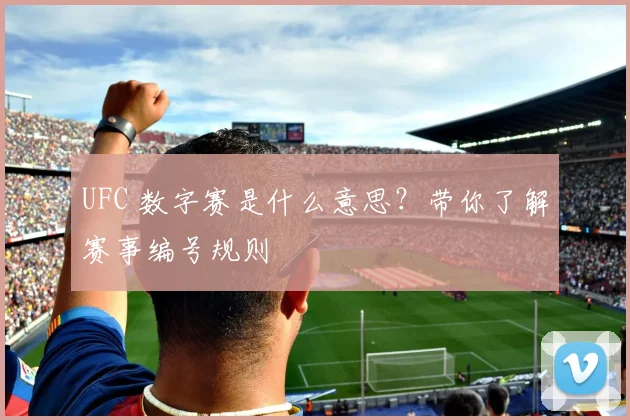 UFC 数字赛是什么意思？带你了解赛事编号规则
