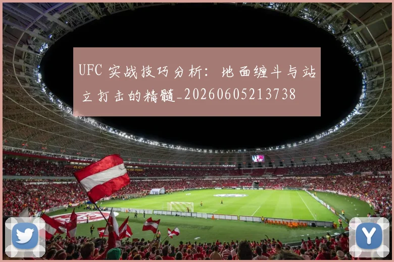 UFC 实战技巧分析:地面缠斗与站立打击的精髓_20260605213738